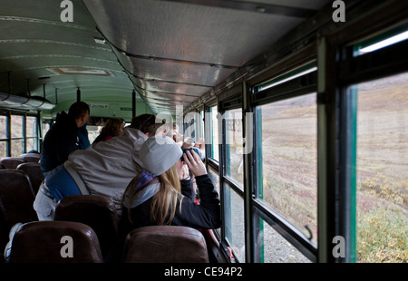 Les visiteurs à regarder les animaux sauvages de la navette. Denali National Park. De l'Alaska. USA Banque D'Images