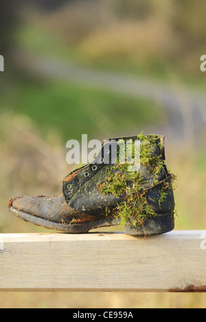 Une vieille chaussure en cuir noir usé démarrer avec l'herbe pousse mousse sur une clôture en bois sciages en bois gate Banque D'Images