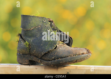 Une vieille chaussure en cuir noir usé démarrer avec l'herbe pousse mousse sur une clôture en bois sciages en bois gate Banque D'Images