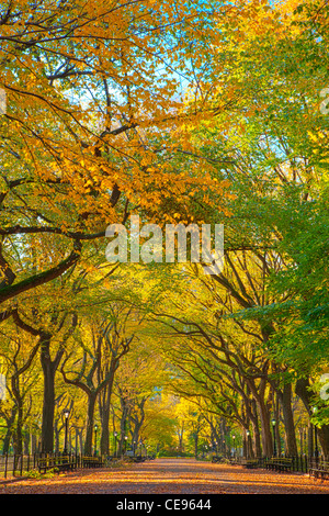 Promenade en automne littéraire couleurs, Central Park Banque D'Images