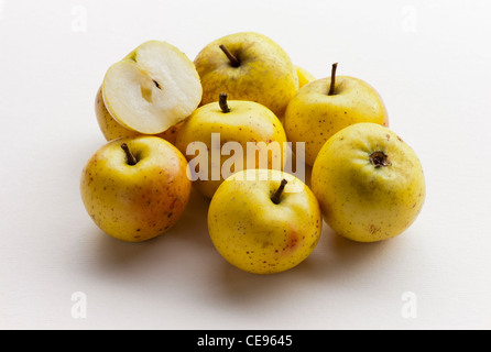 Blanc pommes Astrachan une vieille variété russe Banque D'Images