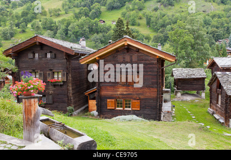 Règlement des maisons en bois flétri avec fontaine décorée de géranium sur une prairie en face de la forêt, canton Valais Suisse Banque D'Images