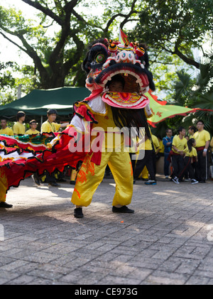 dh Kowloon Park HK TSIM SHA TSUI HONG KONG Far East Chinese Boys lion dance display china asiatic Banque D'Images
