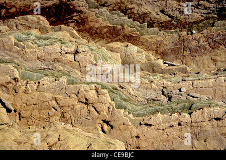 Bright Angel dans le Grand Canyon, Arizona, USA Banque D'Images