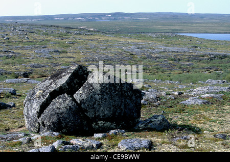 Boulder split sur la toundra dans les Territoires du Nord-Ouest, Canada Banque D'Images