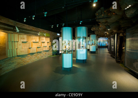 Musée d'histoire militaire dans l'île de Matzu, Taiwan Banque D'Images