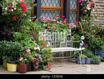 Beau banc de fil blanc entre les fleurs Banque D'Images