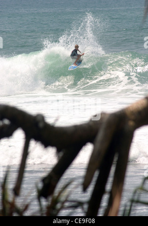 Les surfeurs australiens en visite naviguez sur les ondes dans la région de Matara, dans le sud-ouest de Sri Lanka. Banque D'Images