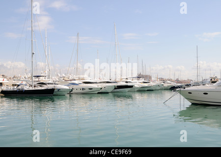 Yachten Marina mit à Palma de Majorque, Spanien auf, Europa. | Marina avec des yachts à Palma de Majorque, Espagne, Europe. Banque D'Images