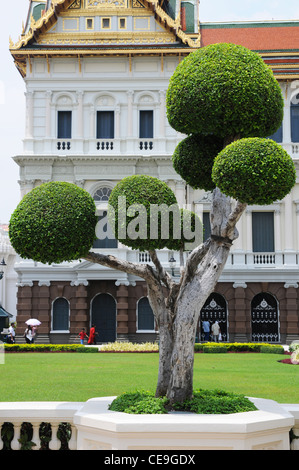 Arbre généalogique des topiaires, Grand Palace, Bangkok, Thaïlande Banque D'Images