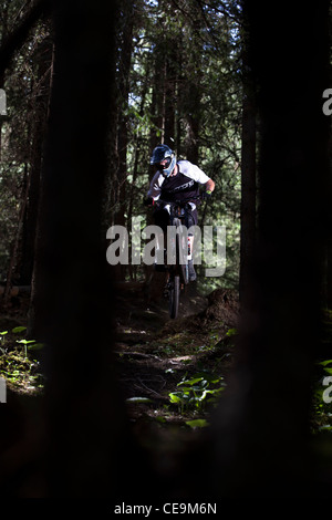 Mountainbiker Équitation Ski dans les sentiers forestiers de Lauterbrunnen, Suisse Banque D'Images