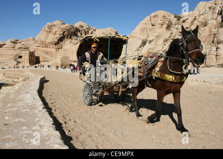 Un bédouin transport à Petra, Jordanie Banque D'Images