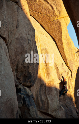 Un alpiniste à Joshua Tree National Park Banque D'Images