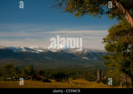 Mont Arrowsmith de Little Mountain Parksville, Colombie-Britannique, Canada. 7911 SCO Banque D'Images