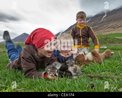 Les garçons avec le chaton et le chiot sur ferme dans le Nord de l'Islande Banque D'Images