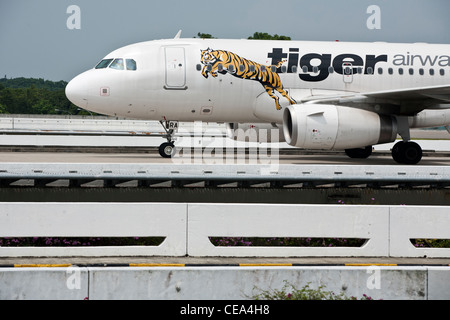 Un jet Tiger Airways Holdings Ltd. à la piste des taxis à l'aéroport de Changi à Singapour Banque D'Images