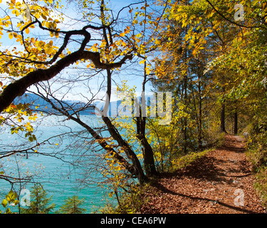 DE - La Bavière : le long de la rive du lac Walchensee Banque D'Images