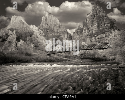 Cour des patriarches et de Virgin River et fsll la couleur. Zion National Park, Utah Banque D'Images