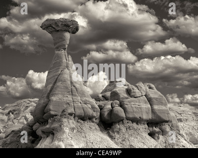 À Hodoos Toadstool formation en escalier Escalante National Monument (Utah) Banque D'Images