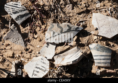 Des tessons de poterie, Penasco Blanco, Chaco Culture National Historical Park, Nouveau Mexique. Banque D'Images