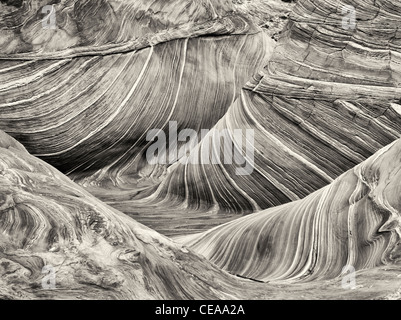 Sandtone Coyote Buttes North dans la formation, l'onde. Paria Canyon Vermillion Cliffs Wilderness. Utah/Arizona Banque D'Images