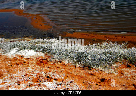 Ounianga Kebir lake, région de l'Erdi, au Tchad Banque D'Images