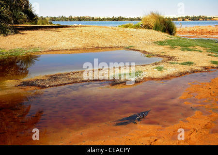 Ounianga Kebir lake, région de l'Erdi, au Tchad Banque D'Images