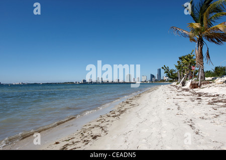 Une petite plage sur les touches de Miami avec des bâtiments dans la distance Banque D'Images