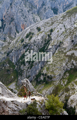 Les randonneurs de la Garganta del Cares (Gorges de Cares) dans les Picos de Europa Banque D'Images