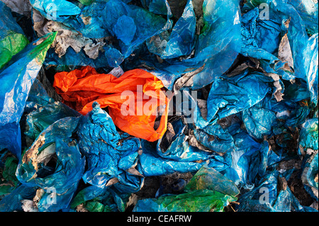 Les sacs en plastique jetés dans la campagne indienne. L'Andhra Pradesh, Inde Banque D'Images