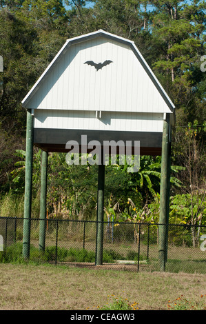 La Bat House, Université de Floride, Gainesville, Florida, United States, USA, Amérique du Nord Banque D'Images