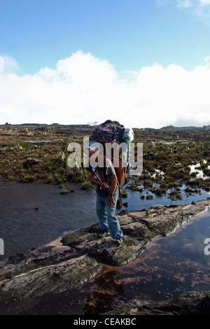 A porter près du sommet (El Carro) du mont Roraima (Tepui) au Venezuela Banque D'Images