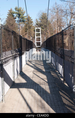 Pont suspendu au-dessus du ruisseau de l'automne avec des clôtures pour protéger les suicides. L'Université de Cornell, Ithaca, New York, USA Banque D'Images