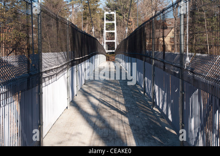 Pont suspendu au-dessus du ruisseau de l'automne avec des clôtures pour protéger les suicides. L'Université de Cornell, Ithaca, New York, USA Banque D'Images