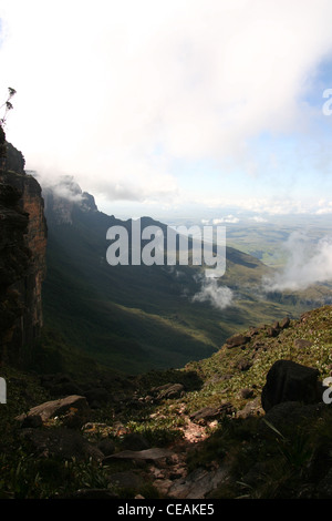 Près du sommet (El Carro) du mont Roraima (Tepui) au Venezuela Banque D'Images