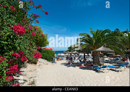 Plage Cala d'es Pou, es Forti, Cala d'Or, Majorque, Baléares, Espagne Banque D'Images