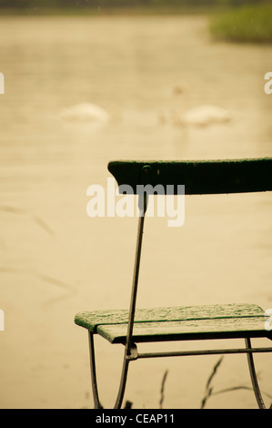 Chaise vide par un lac avec des cygnes Banque D'Images