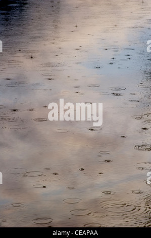 Gouttes de pluie sur l'eau avec la réflexion du ciel Banque D'Images