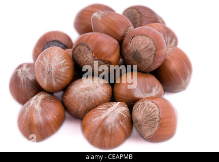 Hazel nuts isolated on white Banque D'Images