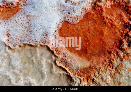 Les couleurs rouge et blanc dans un marais salant près de Walvis Bay, en Namibie Banque D'Images