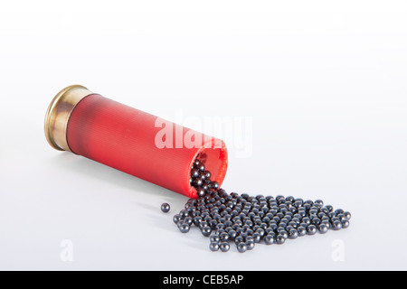 Une cartouche de fusil de chasse en position horizontale rouge, ouvert en haut et les pellets l'abandonnent. Isolé en blanc. Banque D'Images