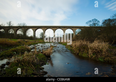 Le Newton Cap Viaduc connu localement comme les onze arches, qui rejoint l'évêque Auckland avec de petits villages dans le comté de Durham et s'étend sur la rivière Wear. Banque D'Images