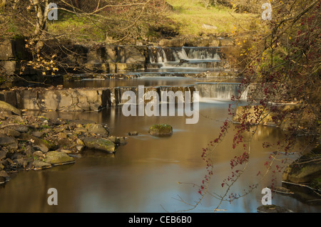 Bois fendu situé dans le westgate dans weardale County Durham plus petites chutes en cascade à l'automne Banque D'Images