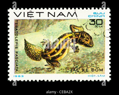 Timbre-poste du Vietnam représentant une carotte-tail Viper Gecko (Teratolepis fasciata) Banque D'Images
