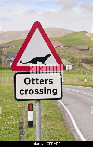 Triangle rouge d'avertissement de passage des panneaux routiers des loutres. Blancheur, îles Shetland, Écosse, Royaume-Uni, Angleterre Banque D'Images