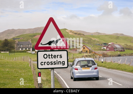 Blancheur, îles Shetland, Écosse, Royaume-Uni. Signe de la route traversant la loutre d'avertissement sur une route principale près d'un loch de mer sur la côte Banque D'Images