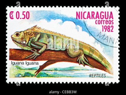 Timbre-poste représentant du Nicaragua un iguane. Banque D'Images