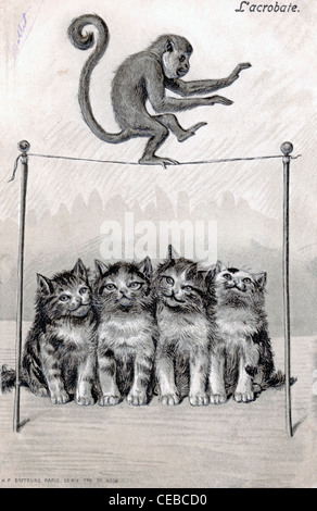 Vintage illustration d'un singe en équilibre sur un fil avec une rangée de 4 chatons assis au-dessous, 1920. Banque D'Images