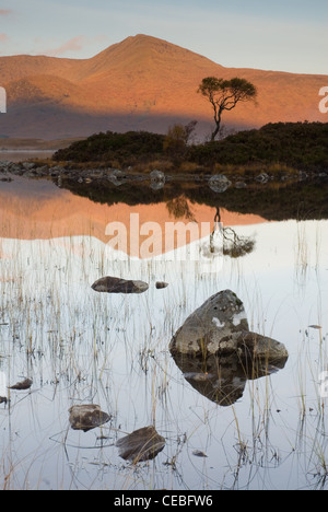Lchan na h-achlaise et le Mont Noir sur Rannoch Moor - Scottish Highlands Banque D'Images