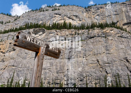 Panneau indiquant la "Paroi en pleurs', malheureusement pas des pleurs en août, quand la photographie a été prise. Promenade des glaciers, Alberta, Canada Banque D'Images